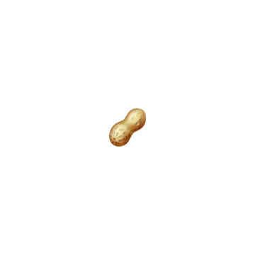 Peanut Symbol
